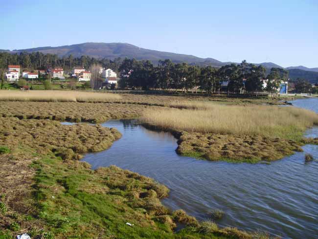 Walk along the wonderful river promenade of the marshes