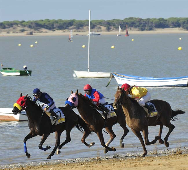 The horse races are held at low tide