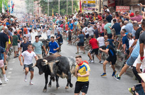 Patron Saint Festivities of San Roque and Encierros (Running of the Bulls) in Blanca