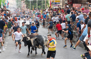 Fiestas Patronales de San Roque y Encierros de Blanca