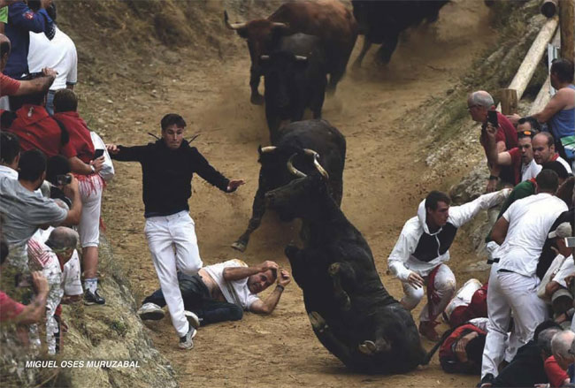 Running of the bulls at Pilón de Falces - Photo courtesy of Falces Town Council