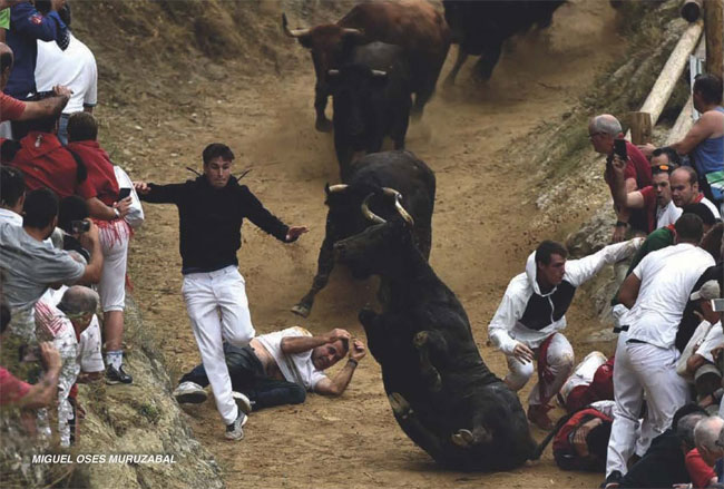 Encierro del Pilón de Falces - Fotografía cortesía del Ayuntamiento de Falces Encierro del Pilón de Falces - Fotografía cortesía del Ayuntamiento de Falces