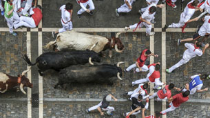 The San Fermines 