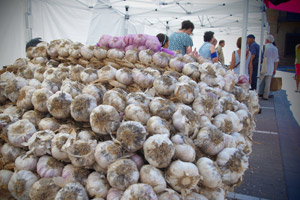 Falces Garlic Day