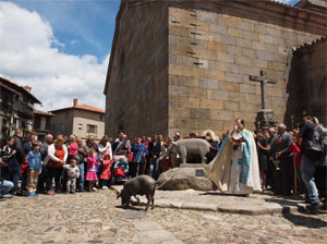 El Marrano de San Antón