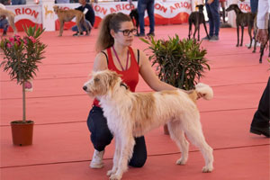 Feria del Perro de Archidona