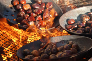 Feast of Magosto or San Martín Patron Saint Festivities in Ourense