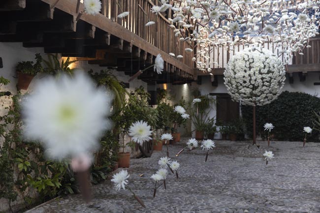 Foto cortesía de Festival Flora. Autor: Laura Martínez Foto cortesía de Festival Flora. Autor: Laura Martínez