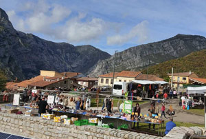 Feria Oseja de Sajambre