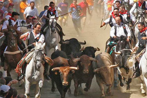 Entrance of bulls and horses of Segorbe