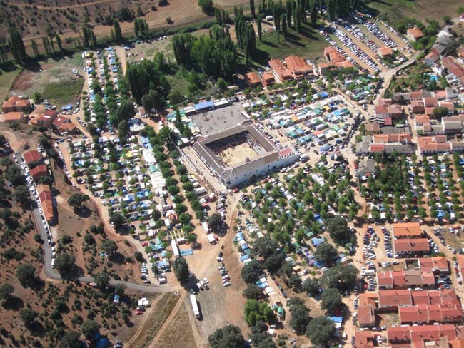 Acuden más de 20.000 personas