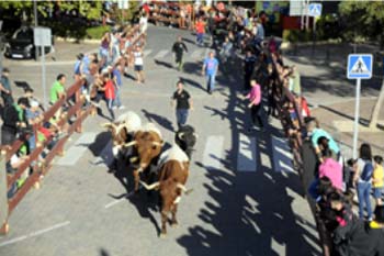 Patron Saint Festivities of the Virgin of the Rosary in Boadilla del Monte